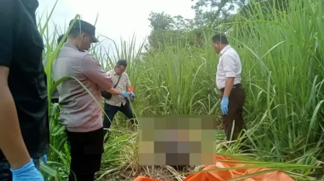 Syamsul Tewas di Kebun Tebu Situbondo