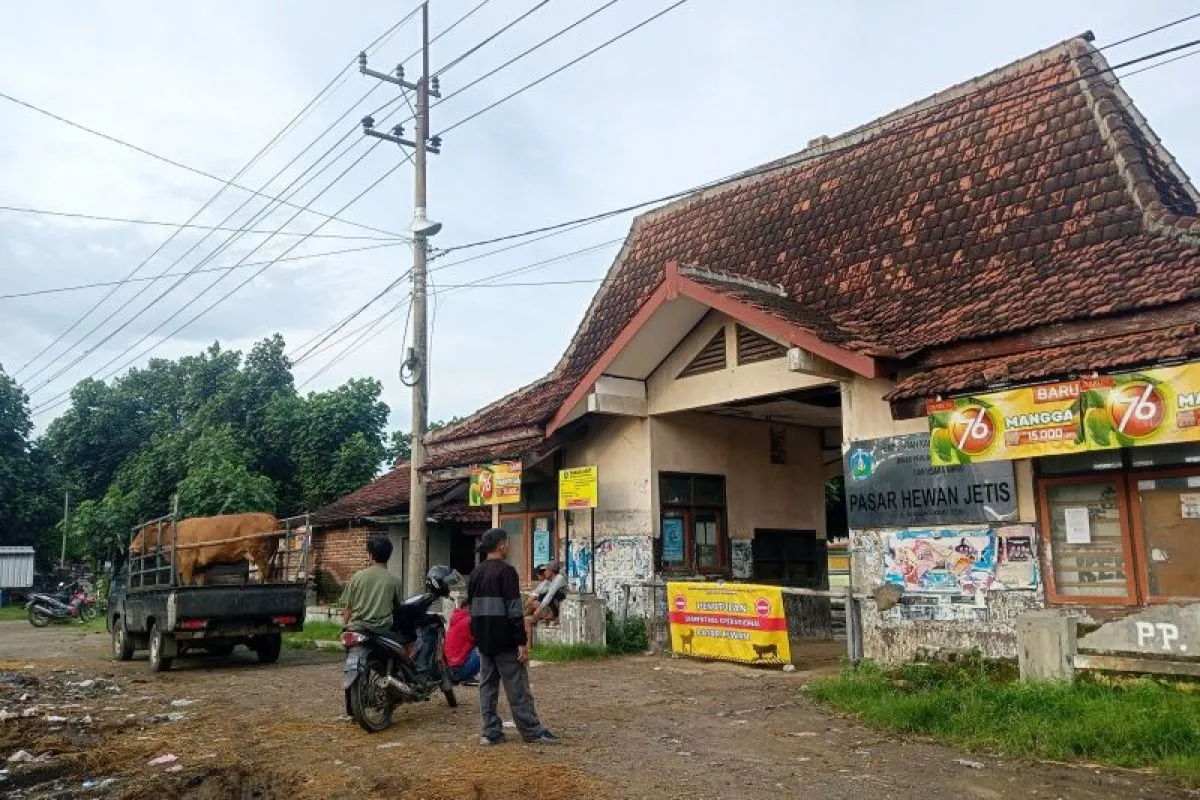 Beberapan pedagang tiba di pasar hewan Jetis yang sedang diberlakukan lockdown (penutupan sementara) di Jetis, Ponorogo, Jumat (10/1/2025). ANTARA/HO - Prastyo