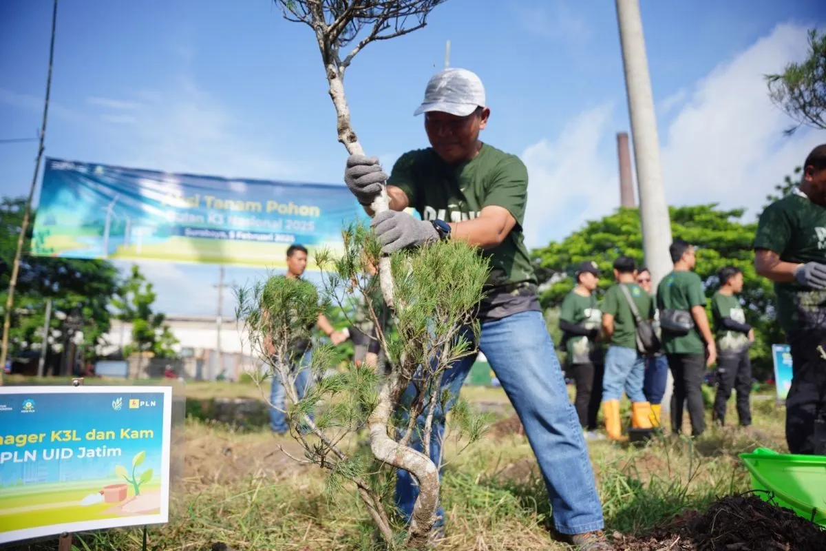 PT PLN (Persero) Unit Induk Distribusi (UID) Jawa Timur merayakan Bulan Keselamatan dan Kesehatan Kerja (K3) Nasional Tahun 2025 melalui aksi penghijauan kota di Surabaya, Jawa Timur, Jumat (7/2/2025). (ANTARA)