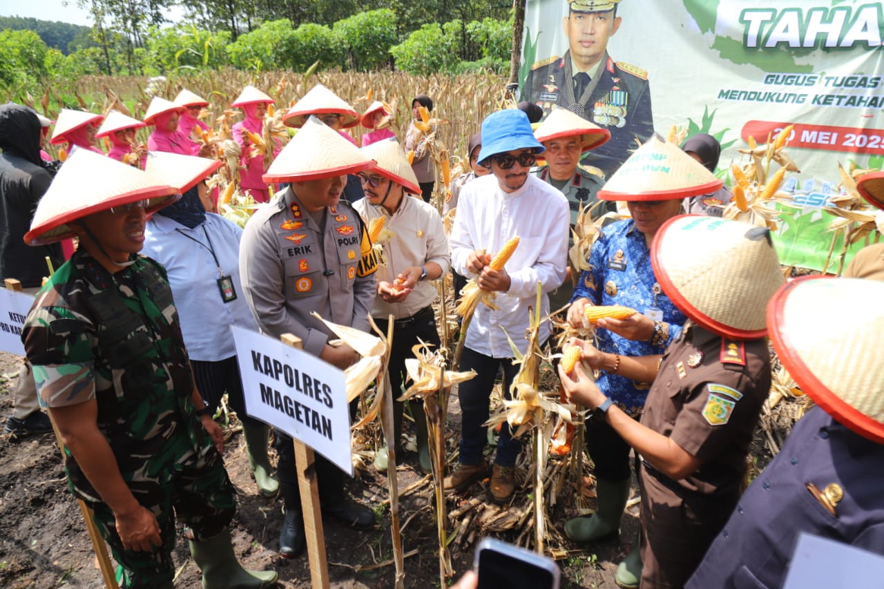 jagung magetan