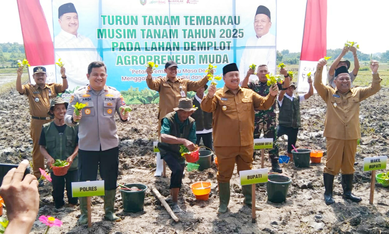 tembakau