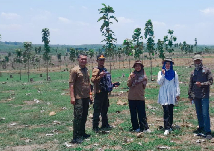perhutanan kph nganjuk