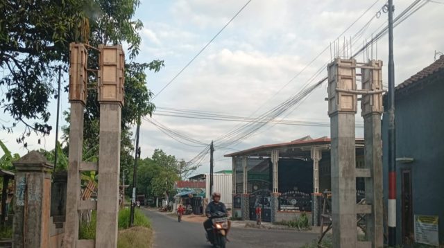 kebontemu