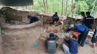 fosil gajah purba