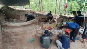 fosil gajah purba