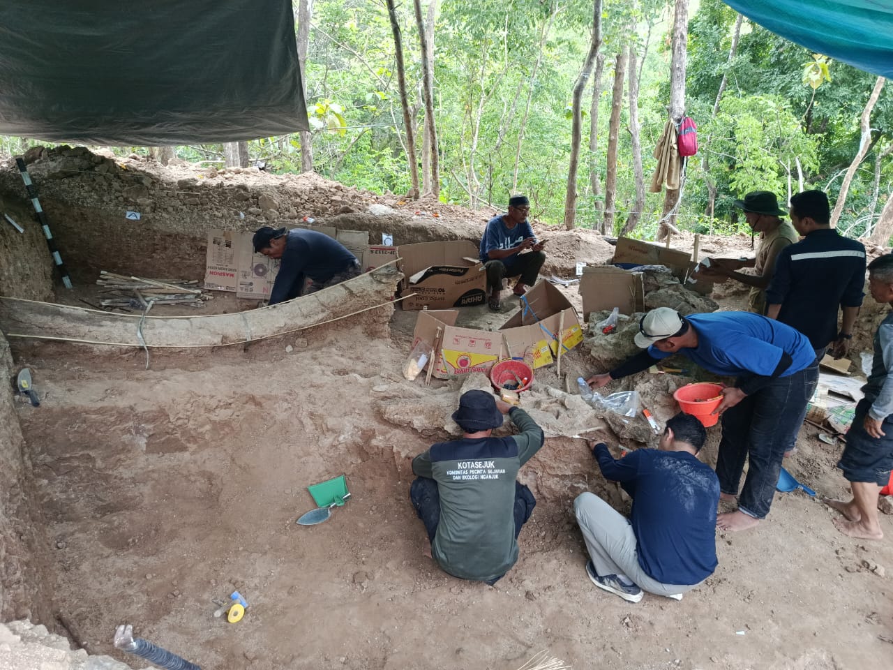fosil gajah purba